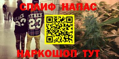 бошки Тара