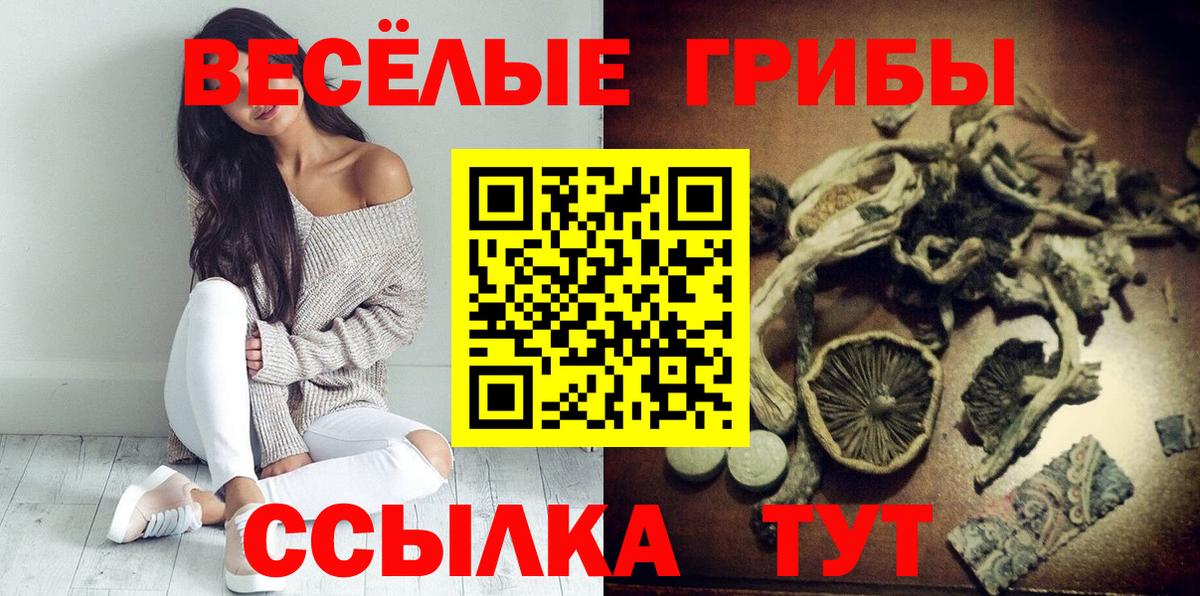Новоалтайск  Псилоцибиновые грибы прущие грибы  Вход с VPN 