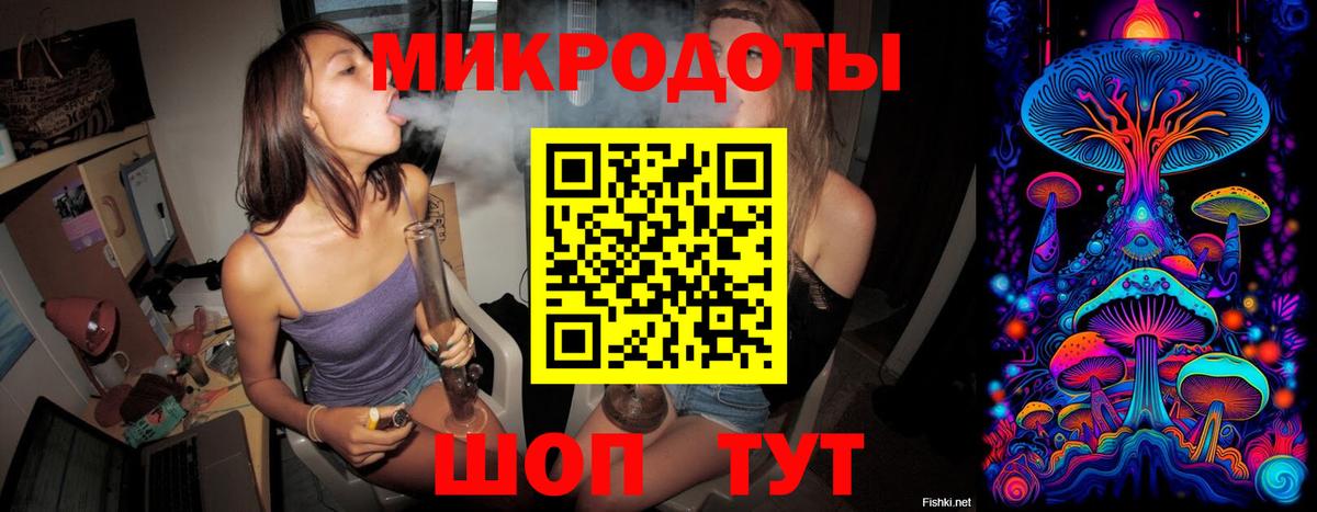 Галлюциногенные грибы Psilocybine cubensis Новоалтайск